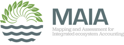 MAIA logo